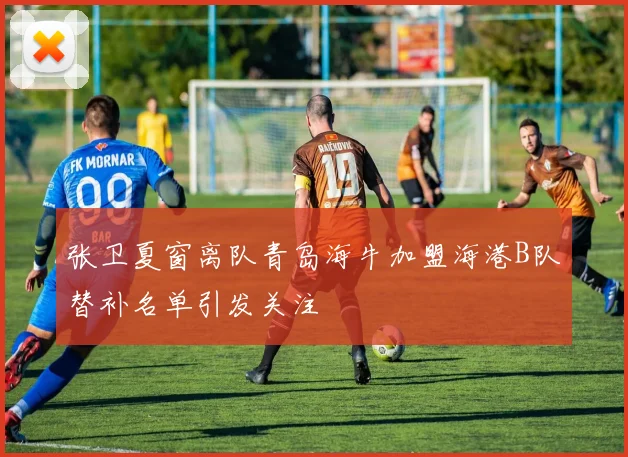 张卫夏窗离队青岛海牛加盟海港B队替补名单引发关注